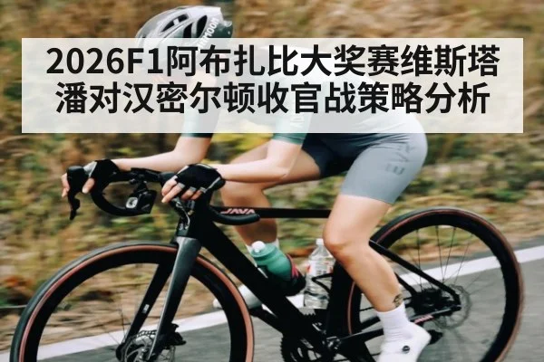 2026F1阿布扎比大奖赛维斯塔潘对汉密尔顿收官战策略分析